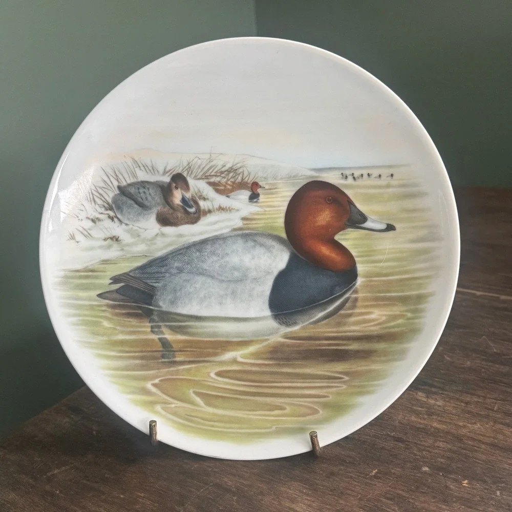Bavaria‎ JKW Western Germany Red-crested Duck John Gould Porcelain Plate Vintage
